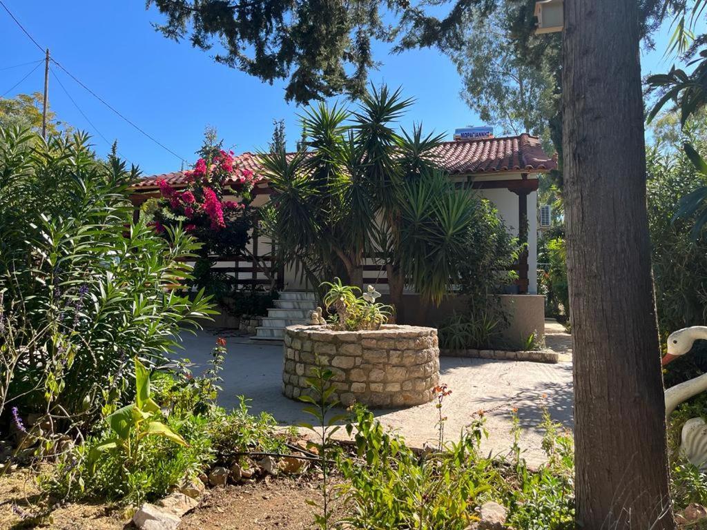 Gialova Garden Bungalow المظهر الخارجي الصورة